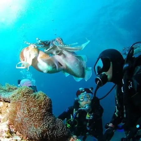 Cascata, 3 Bedroom, Pool, Close To Olhos De Agua Villa