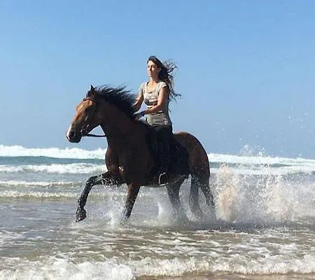 Cascata, 3 Bedroom, Pool, Close To Olhos De Agua Villa Albufeira