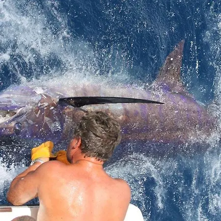 Cascata, 3 Bedroom, Pool, Close To Olhos De Agua Villa *